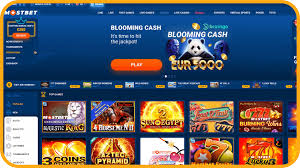 Mostbet: Specialist Evaluation, opinion about the brand